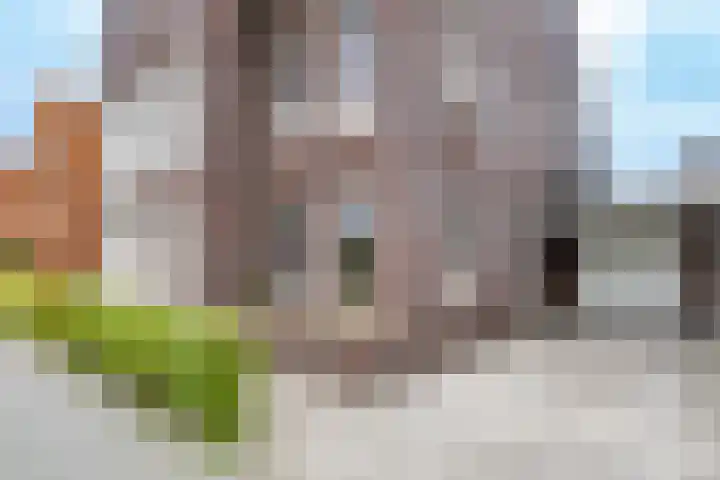 Wilde rijstvliet 96 Utrecht thumbnail 5