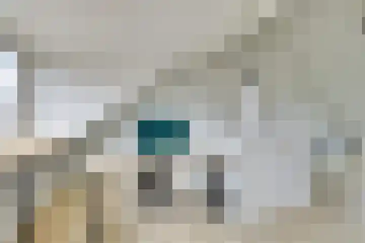 Wilde rijstvliet 96 Utrecht thumbnail 50