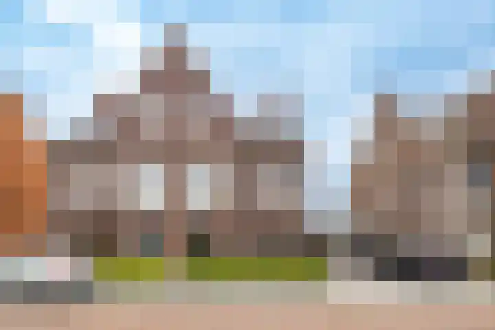 Wilde rijstvliet 96 Utrecht thumbnail 54