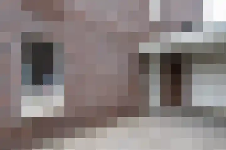 Wilde rijstvliet 96 Utrecht thumbnail 56
