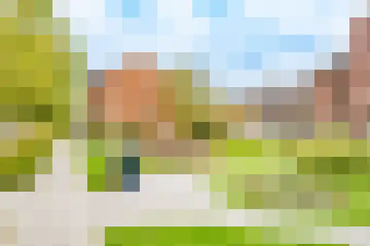 Wilde rijstvliet 96 Utrecht thumbnail 59