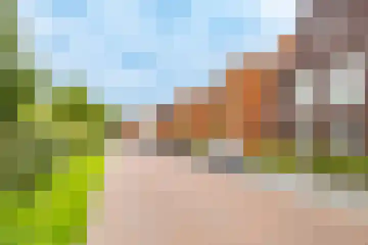 Wilde rijstvliet 96 Utrecht thumbnail 60