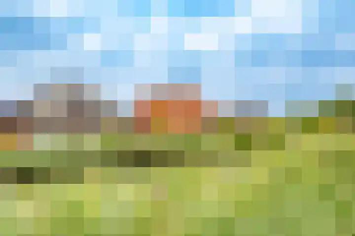 Wilde rijstvliet 96 Utrecht thumbnail 61