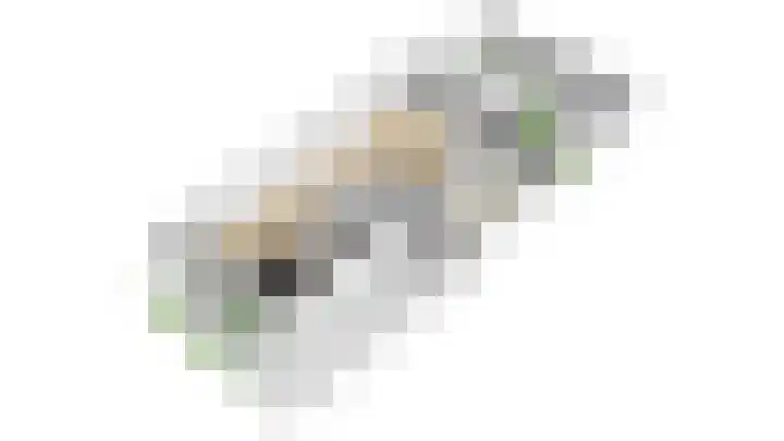 Wilde rijstvliet 96 Utrecht thumbnail 63