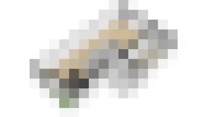 Wilde rijstvliet 96 Utrecht thumbnail 65