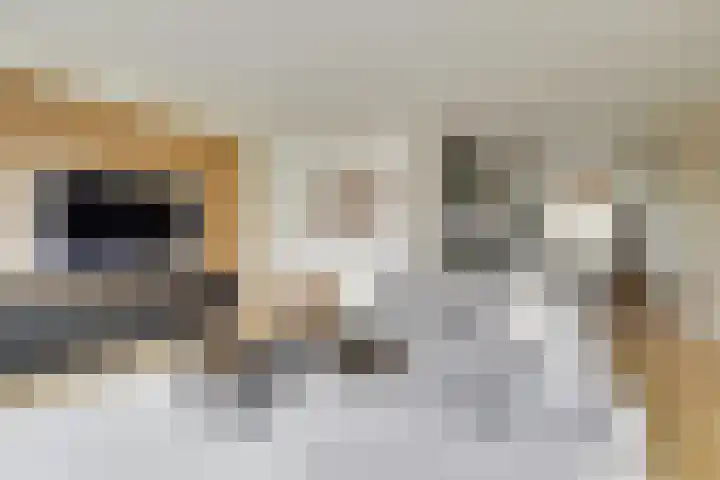 Wilde rijstvliet 96 Utrecht thumbnail 7