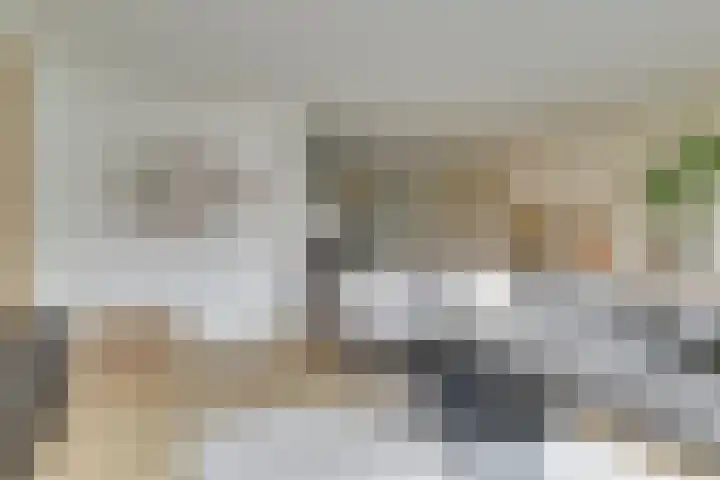 Wilde rijstvliet 96 Utrecht thumbnail 8