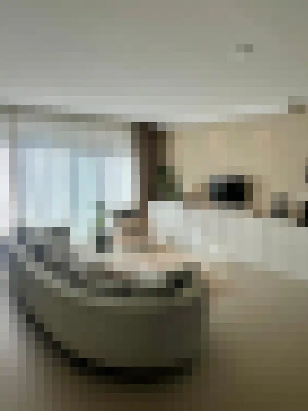 Wilde rucolavliet 103 Utrecht thumbnail 4