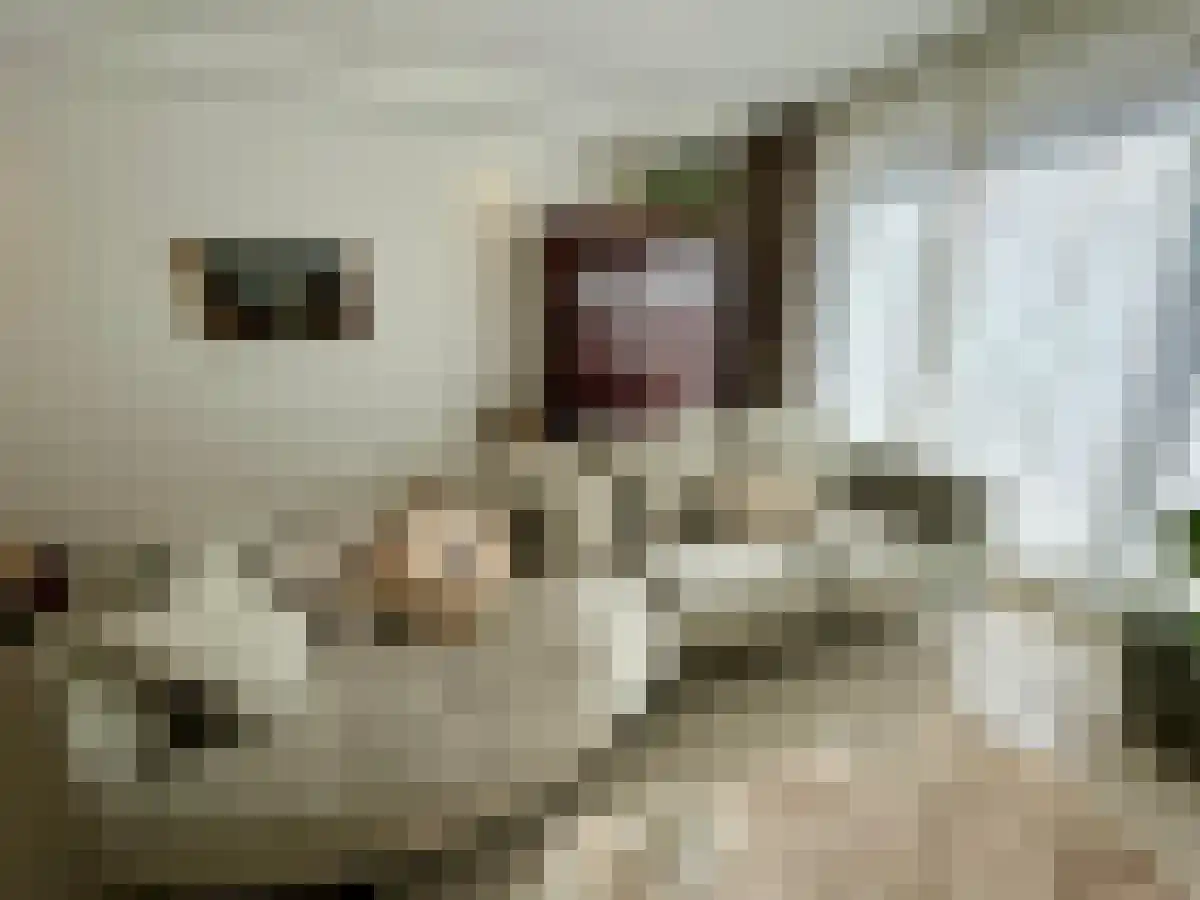 Wilde rucolavliet 103 Utrecht thumbnail 5