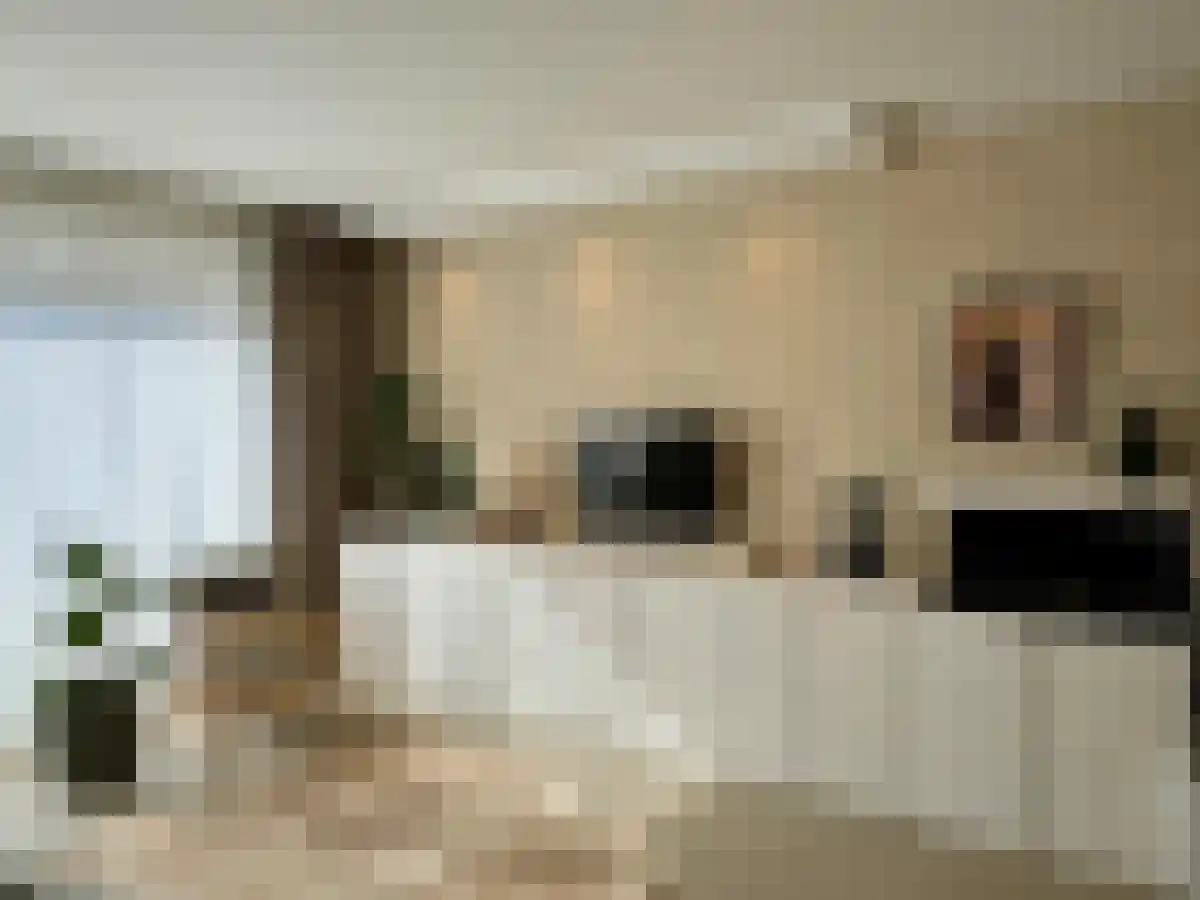 Wilde rucolavliet 103 Utrecht thumbnail 6