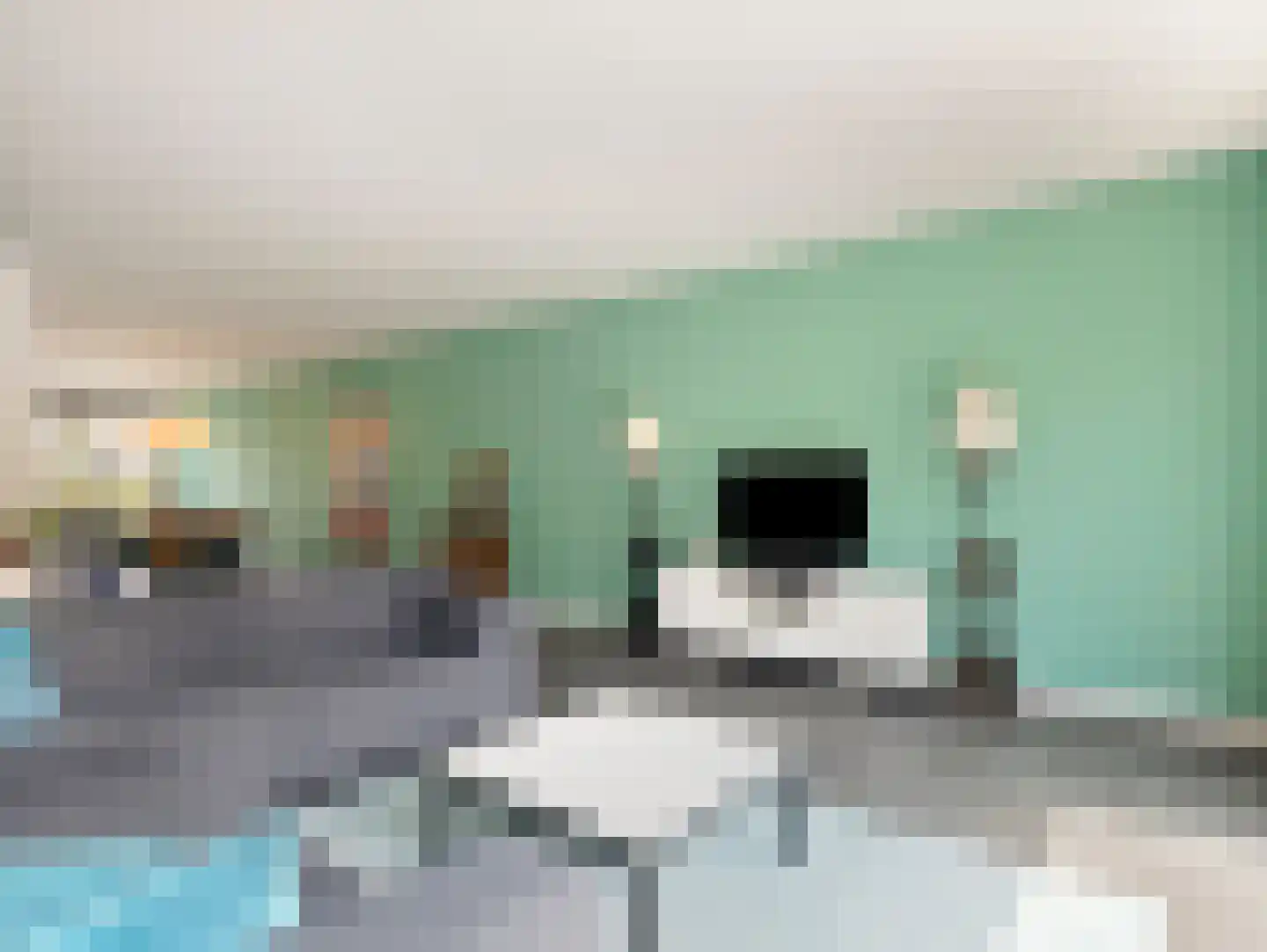 Wilde rucolavliet 97 Utrecht thumbnail 14