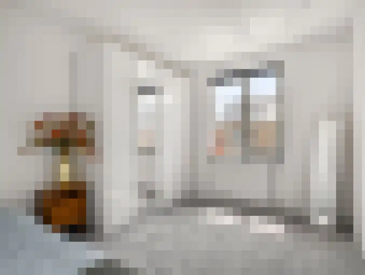 Wilde rucolavliet 97 Utrecht thumbnail 40
