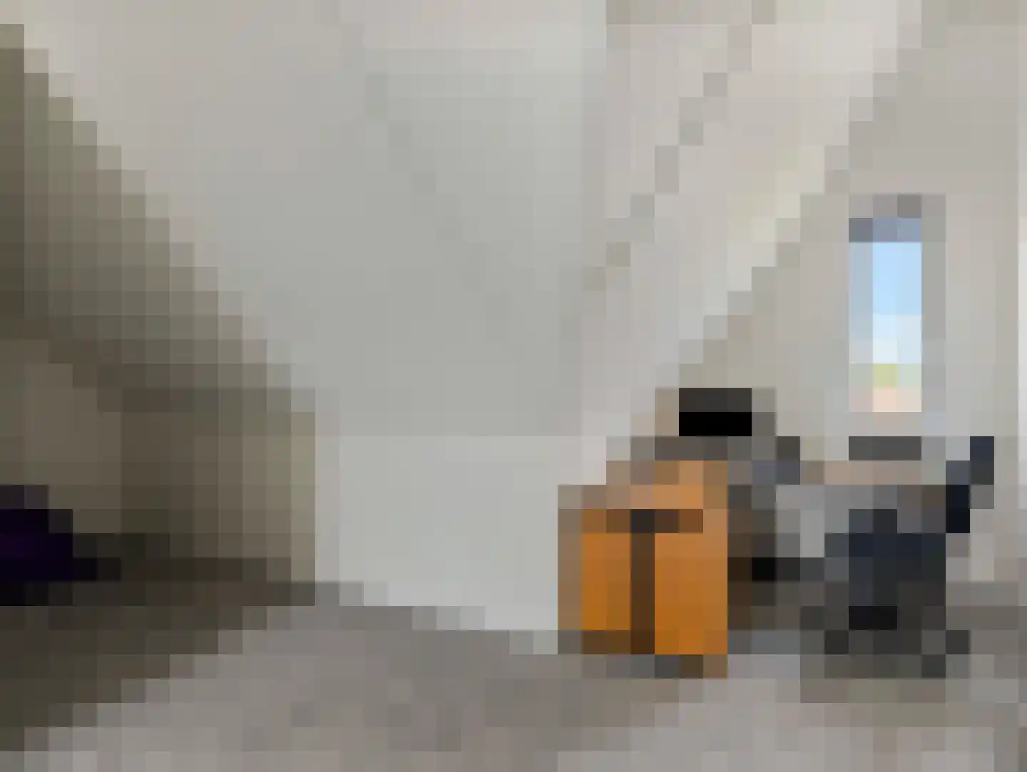 Wilde rucolavliet 97 Utrecht thumbnail 48