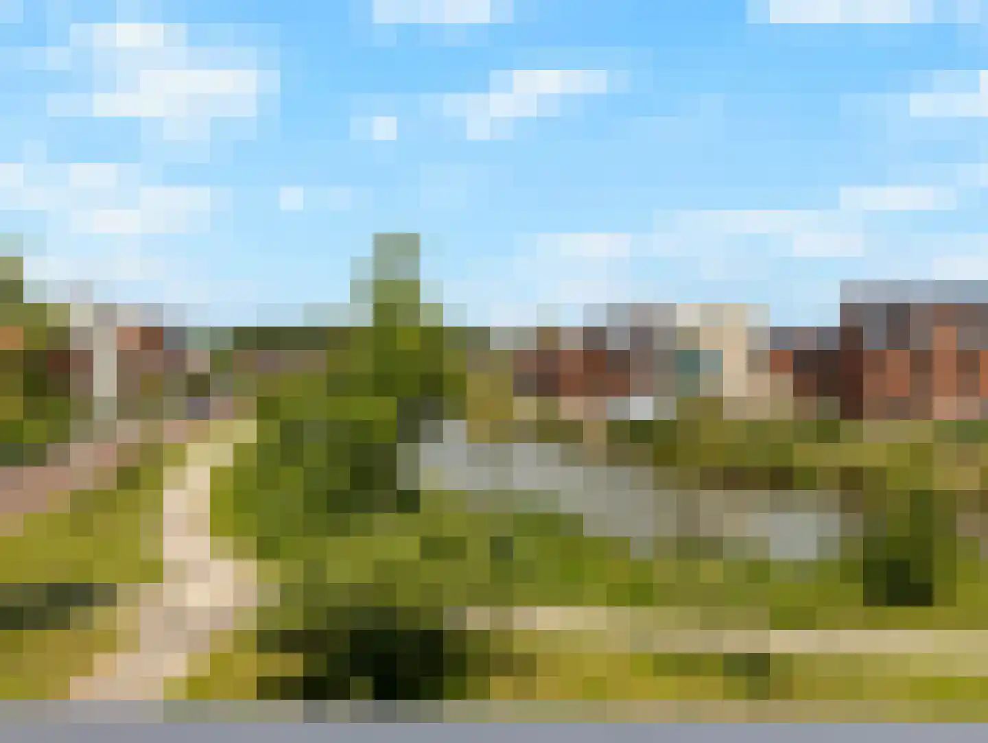 Wilde rucolavliet 97 Utrecht thumbnail 49