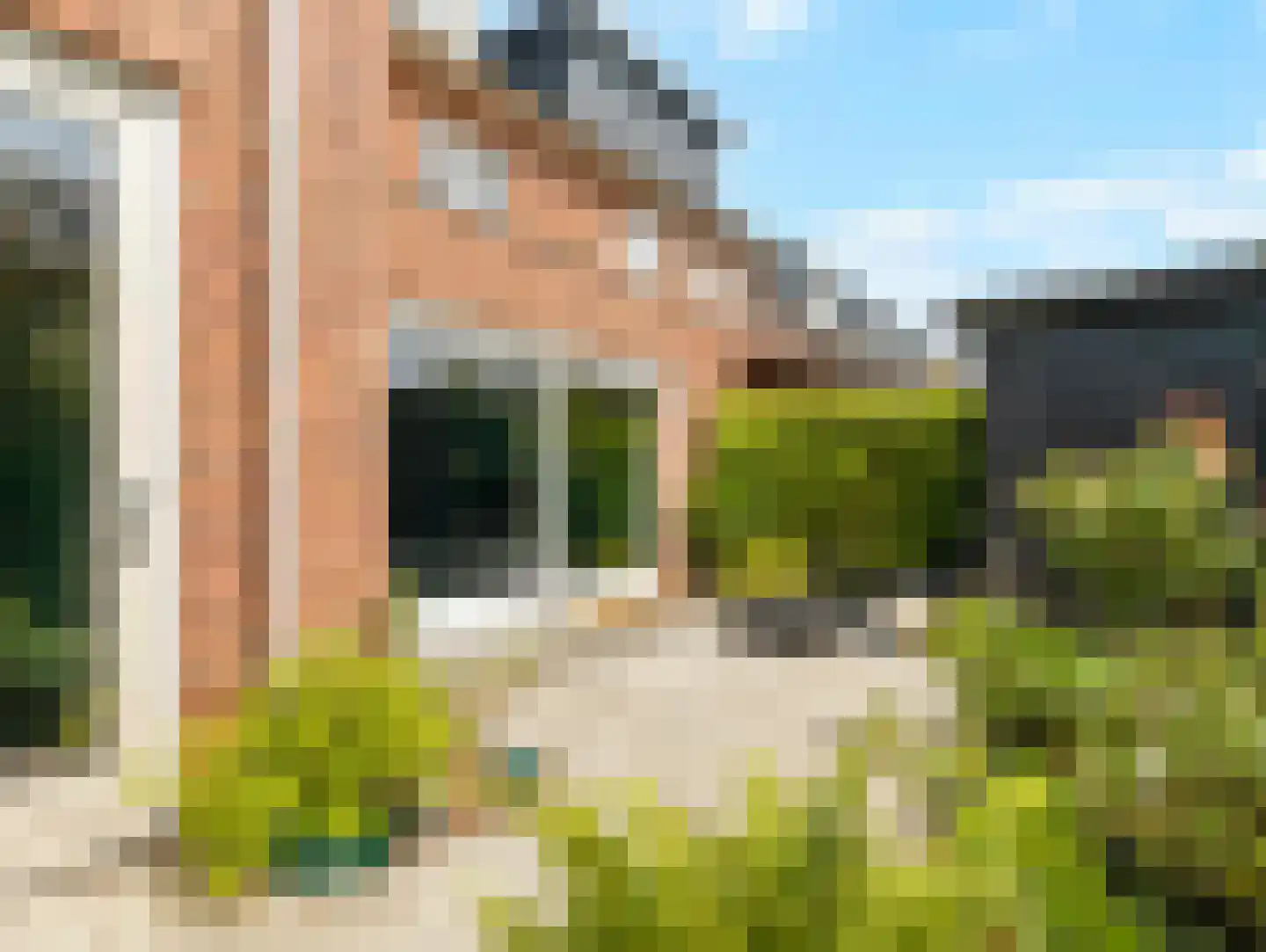 Wilde rucolavliet 97 Utrecht thumbnail 51