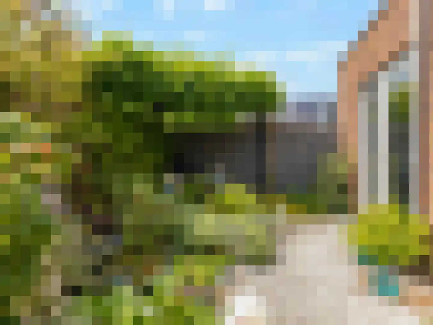 Wilde rucolavliet 97 Utrecht thumbnail 55