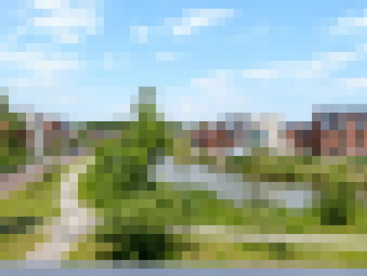 Wilde rucolavliet 97 Utrecht thumbnail 58