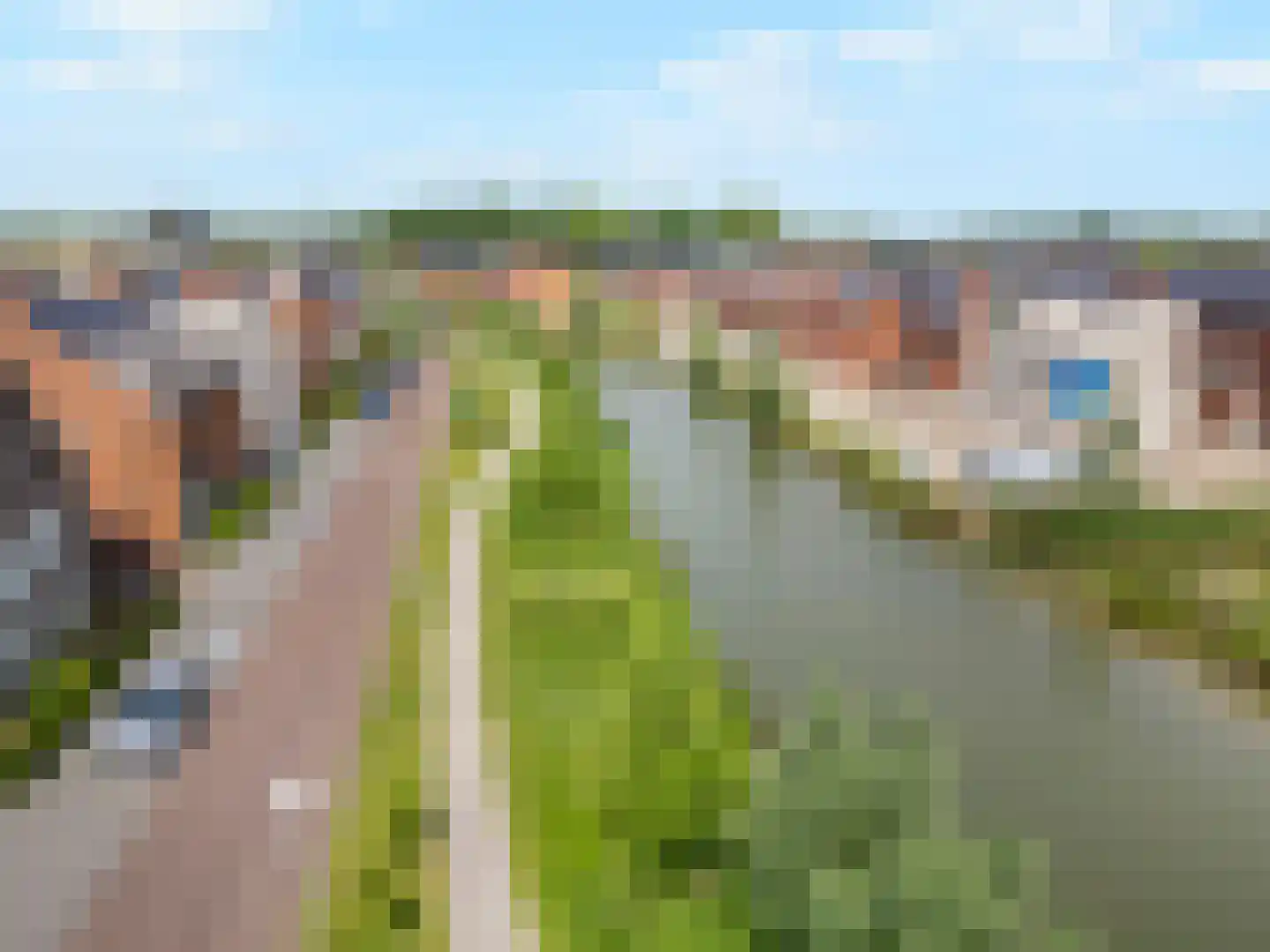 Wilde rucolavliet 97 Utrecht thumbnail 59