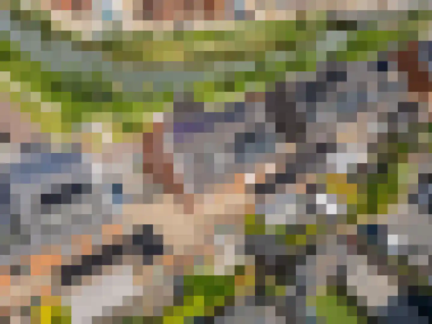 Wilde rucolavliet 97 Utrecht thumbnail 62