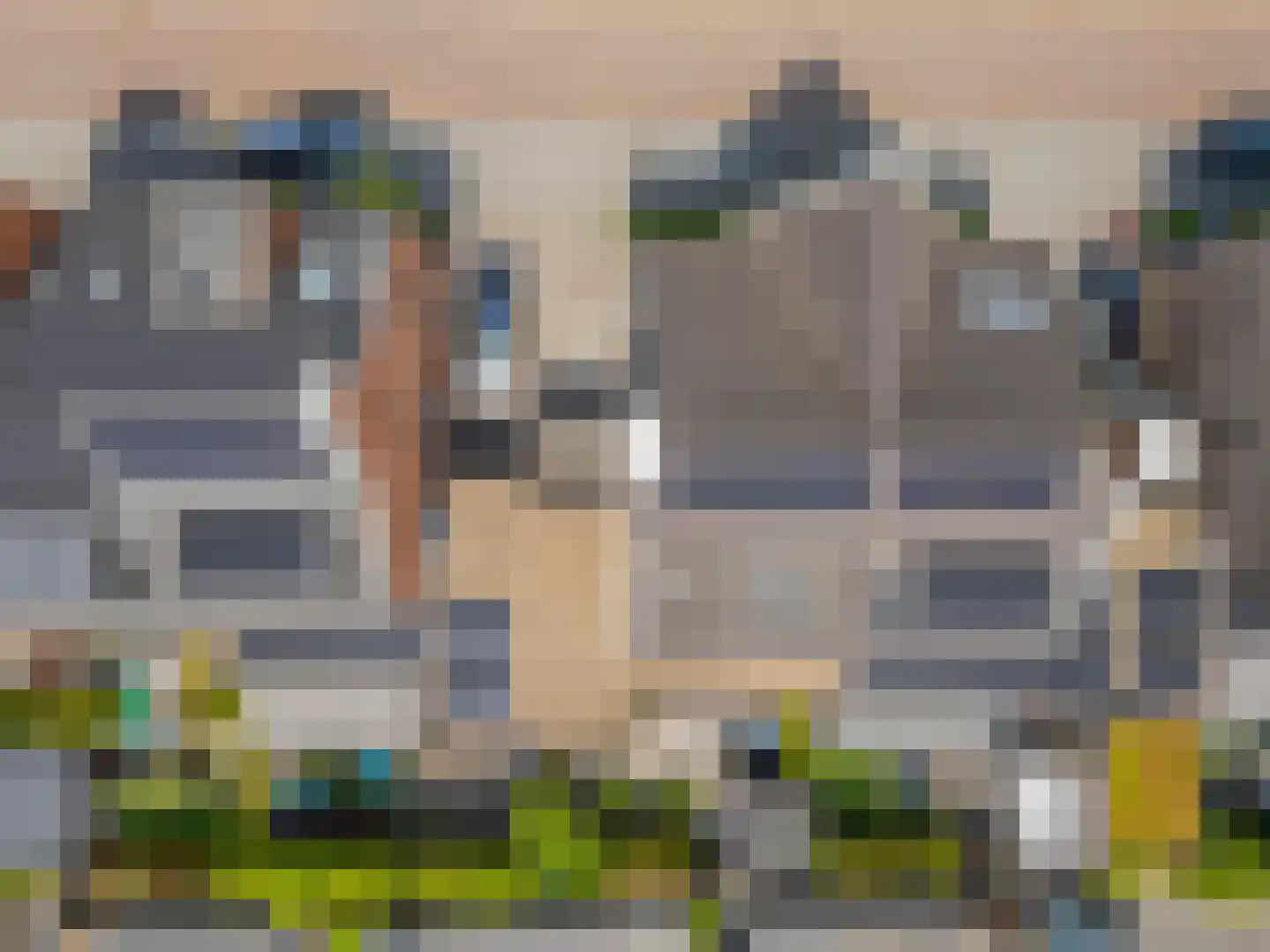 Wilde rucolavliet 97 Utrecht thumbnail 63