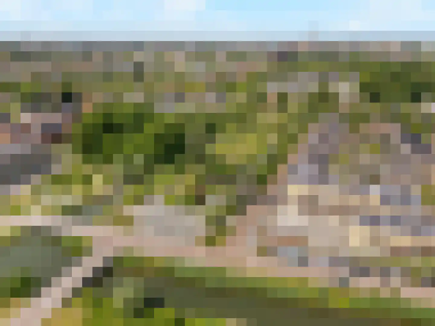 Wilde rucolavliet 97 Utrecht thumbnail 66