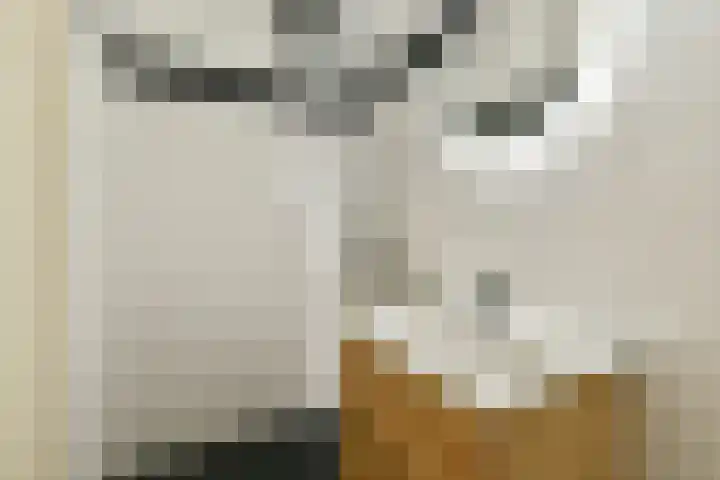 Wilde Wingerdlaan 123 Gouda thumbnail 13