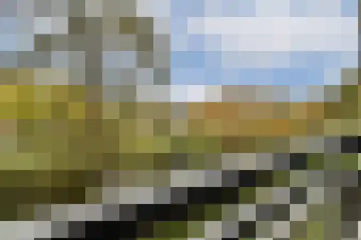 Wilde Wingerdlaan 123 Gouda thumbnail 15