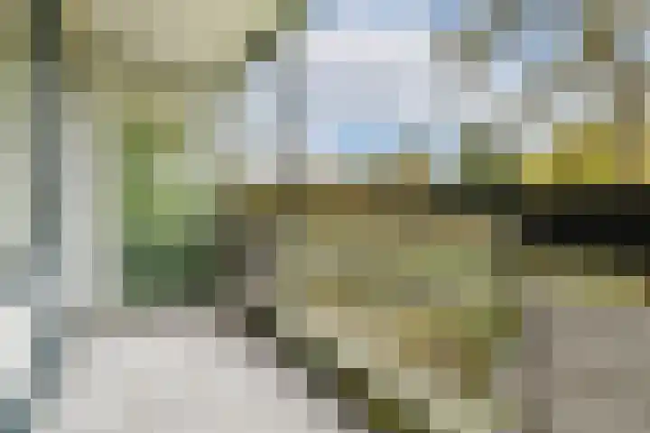 Wilde Wingerdlaan 123 Gouda thumbnail 16