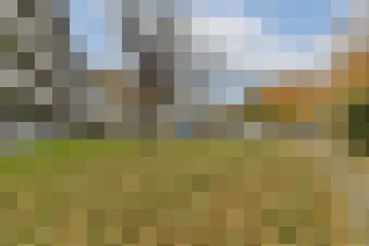 Wilde Wingerdlaan 123 Gouda thumbnail 17