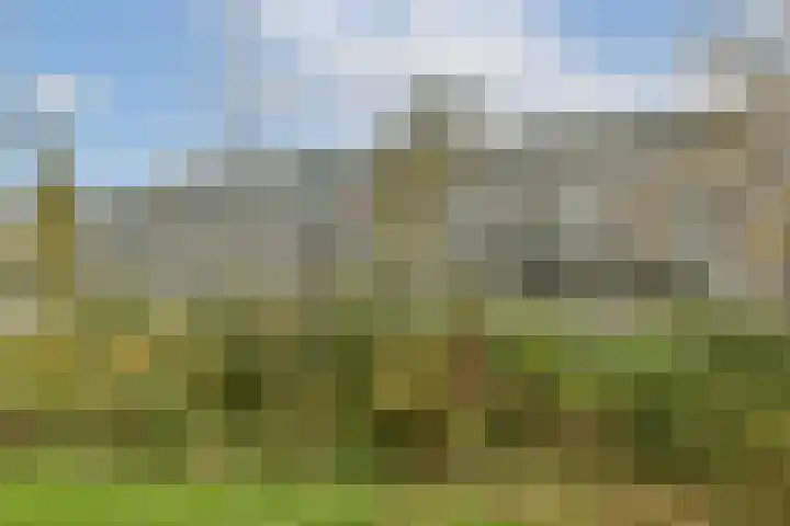 Wilde Wingerdlaan 123 Gouda thumbnail 18