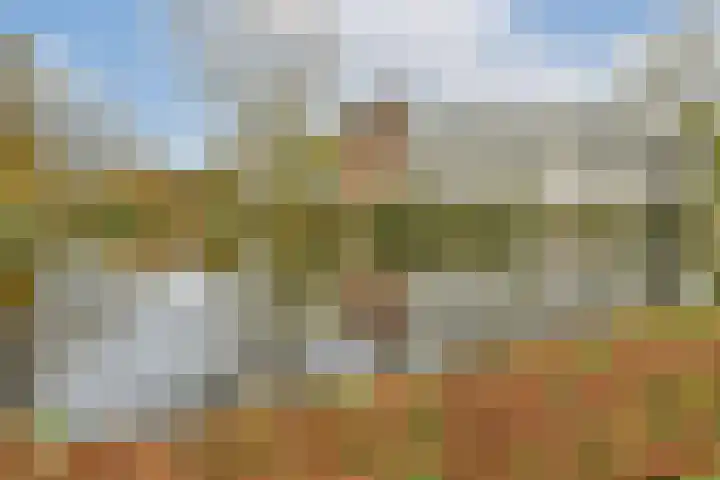 Wilde Wingerdlaan 123 Gouda thumbnail 19