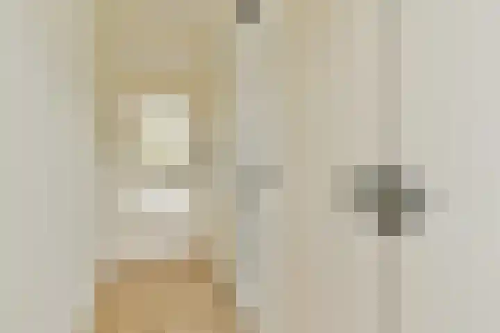 Wilde Wingerdlaan 123 Gouda thumbnail 5