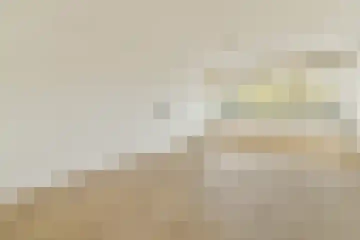 Wilde Wingerdlaan 123 Gouda thumbnail 6