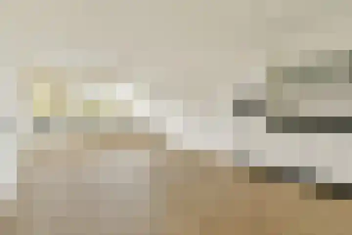 Wilde Wingerdlaan 123 Gouda thumbnail 7