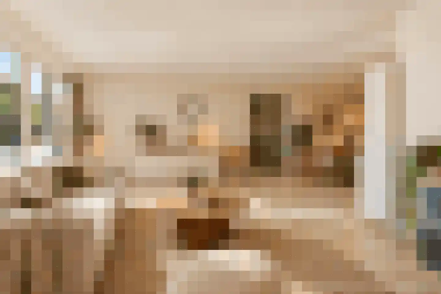 Wilde Wingerdlaan 13 Gouda thumbnail 14