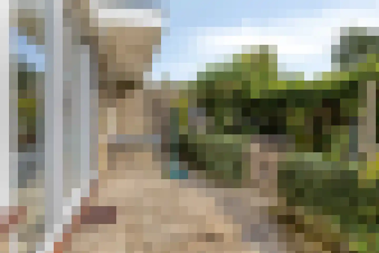 Wilde Wingerdlaan 13 Gouda thumbnail 16