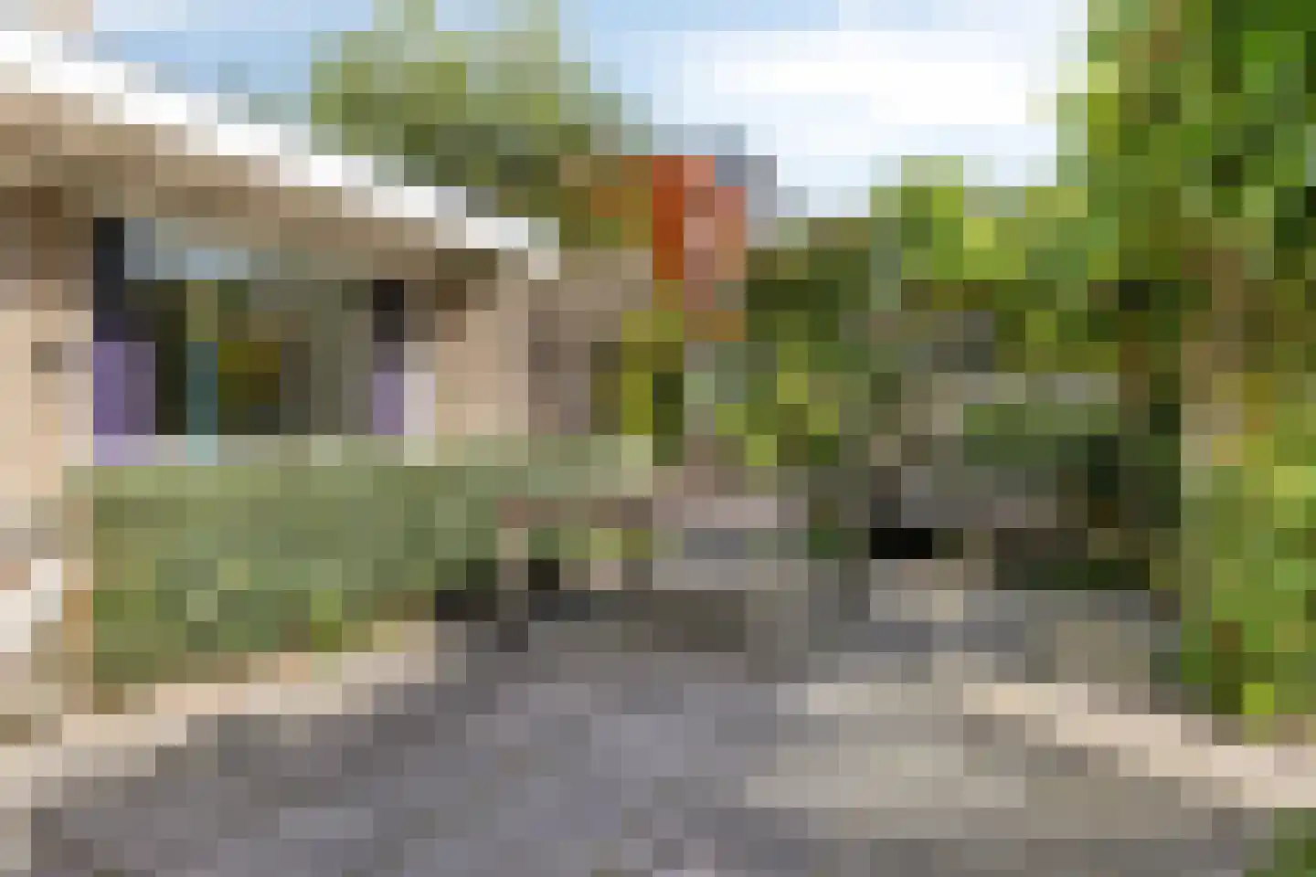 Wilde Wingerdlaan 13 Gouda thumbnail 17
