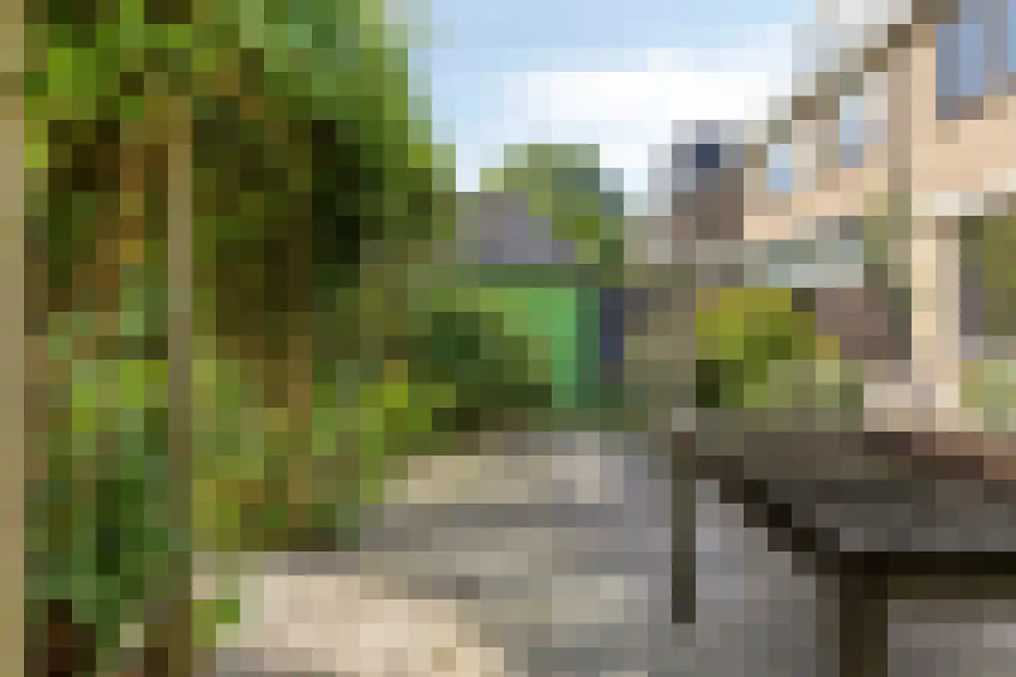 Wilde Wingerdlaan 13 Gouda thumbnail 18