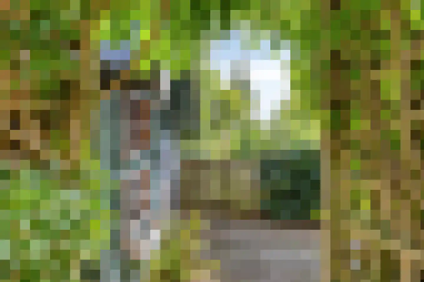 Wilde Wingerdlaan 13 Gouda thumbnail 19