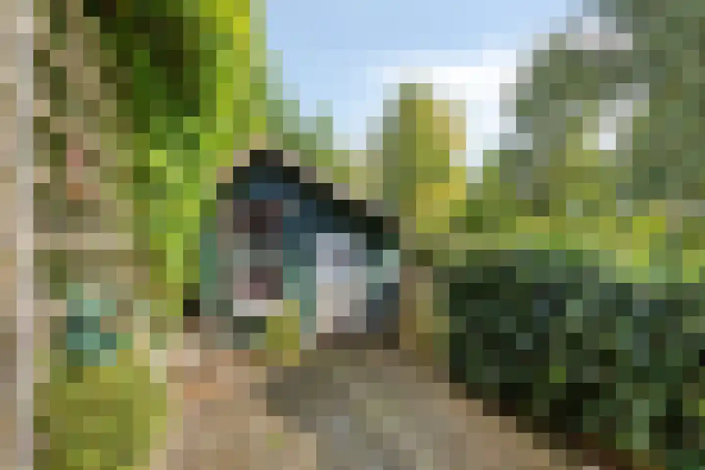 Wilde Wingerdlaan 13 Gouda thumbnail 20