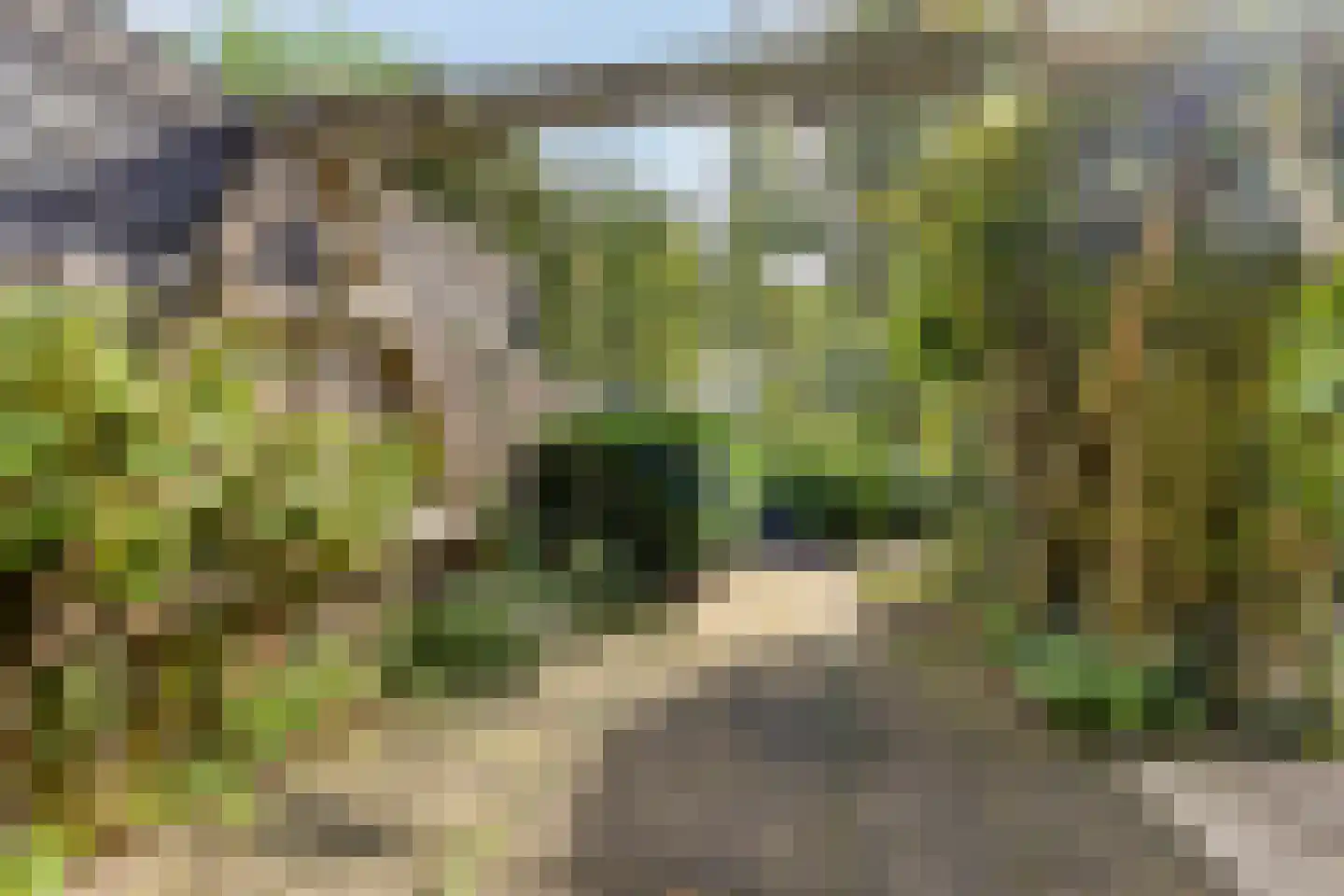 Wilde Wingerdlaan 13 Gouda thumbnail 23