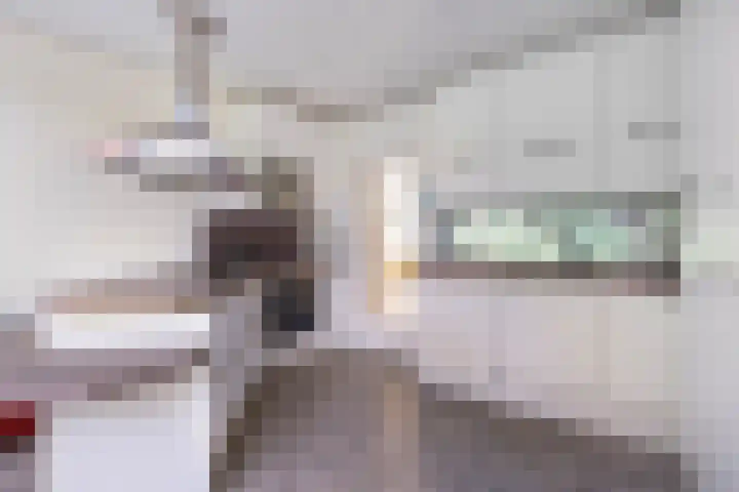 Wilde Wingerdlaan 13 Gouda thumbnail 27