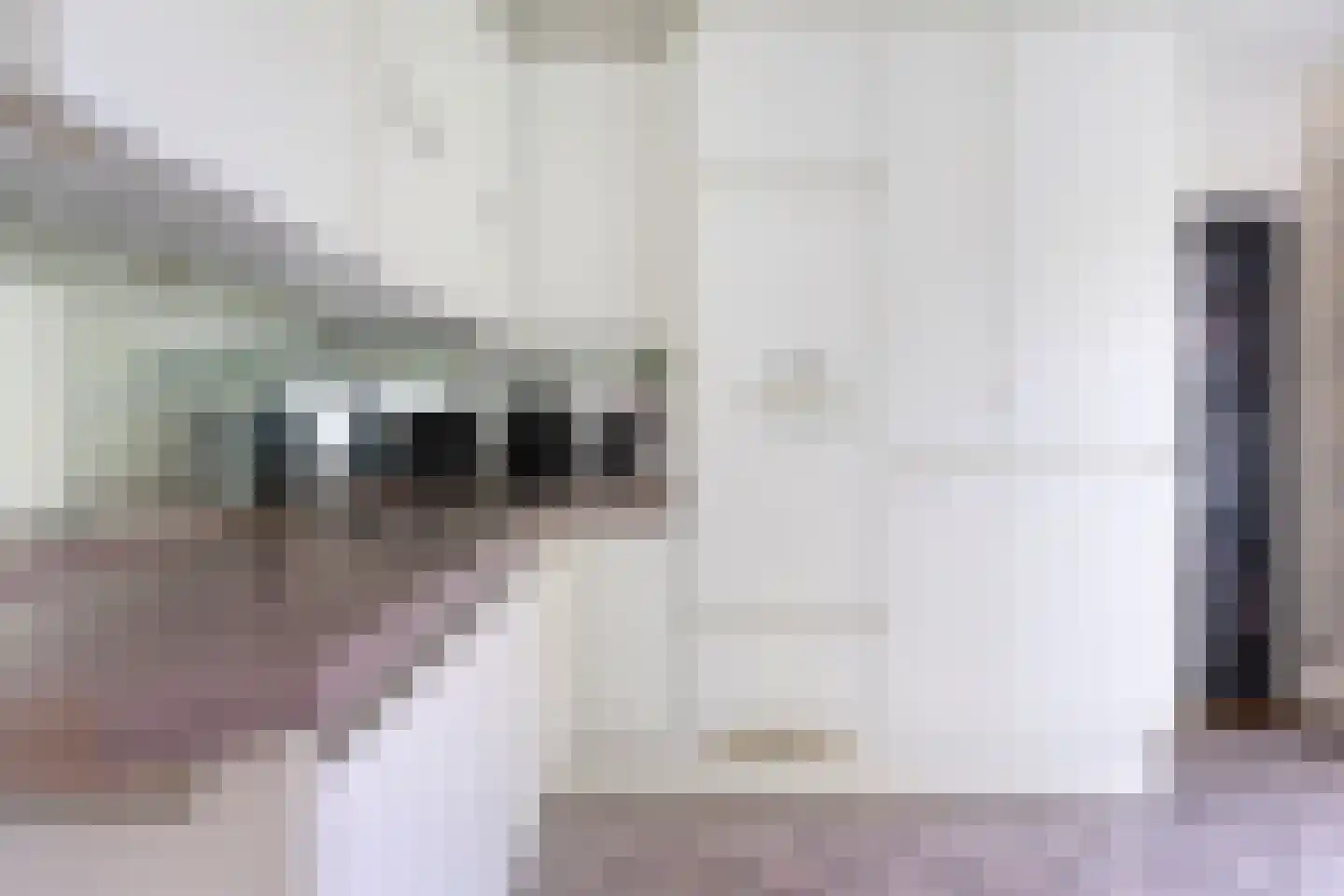 Wilde Wingerdlaan 13 Gouda thumbnail 28