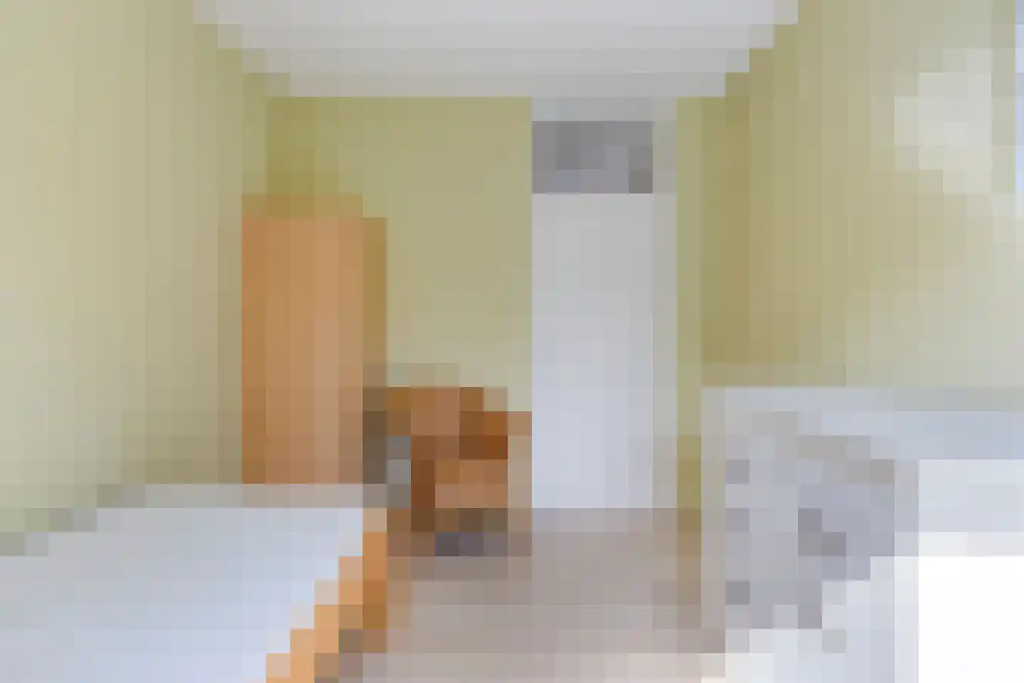 Wilde Wingerdlaan 13 Gouda thumbnail 30