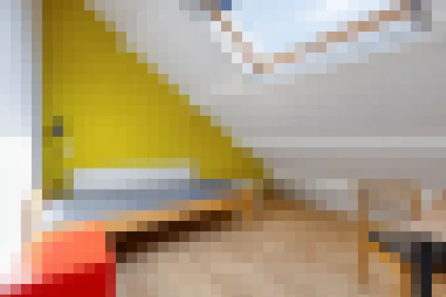 Wilde Wingerdlaan 13 Gouda thumbnail 44