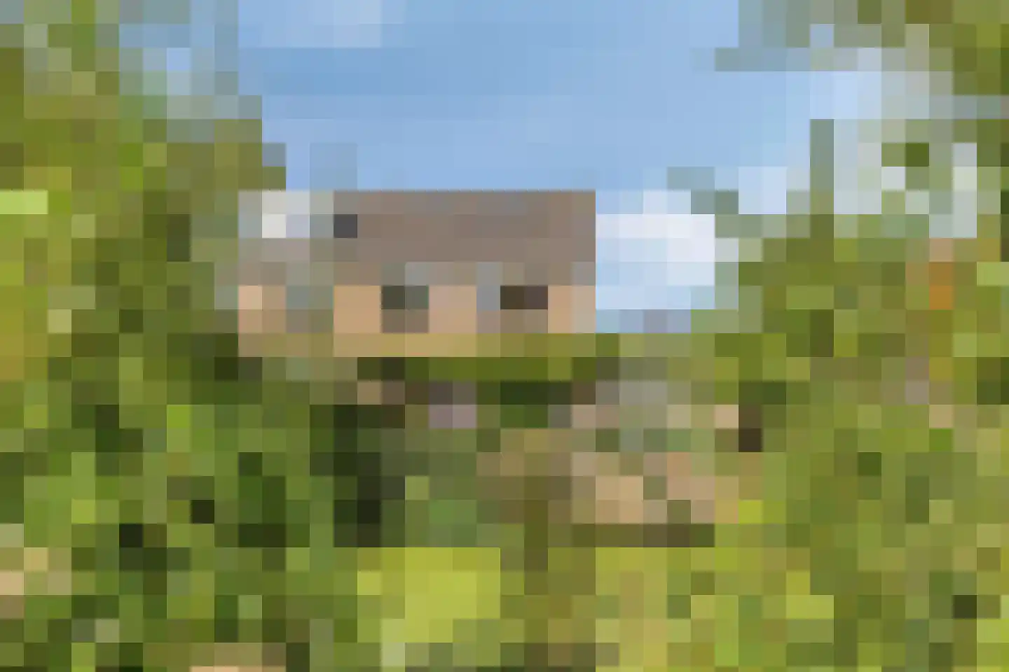 Wilde Wingerdlaan 13 Gouda thumbnail 48