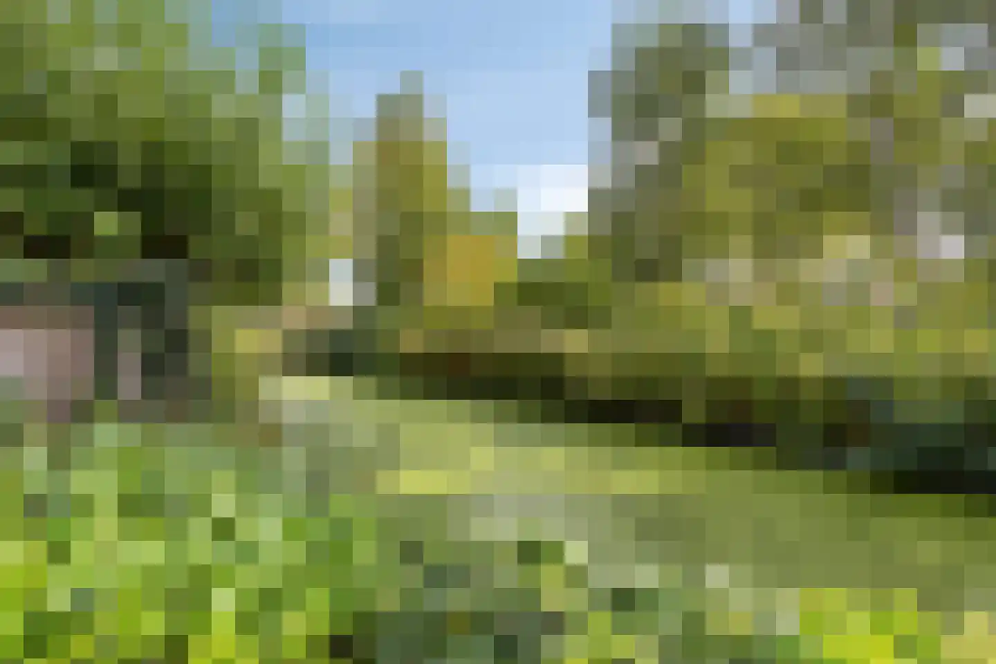 Wilde Wingerdlaan 13 Gouda thumbnail 49