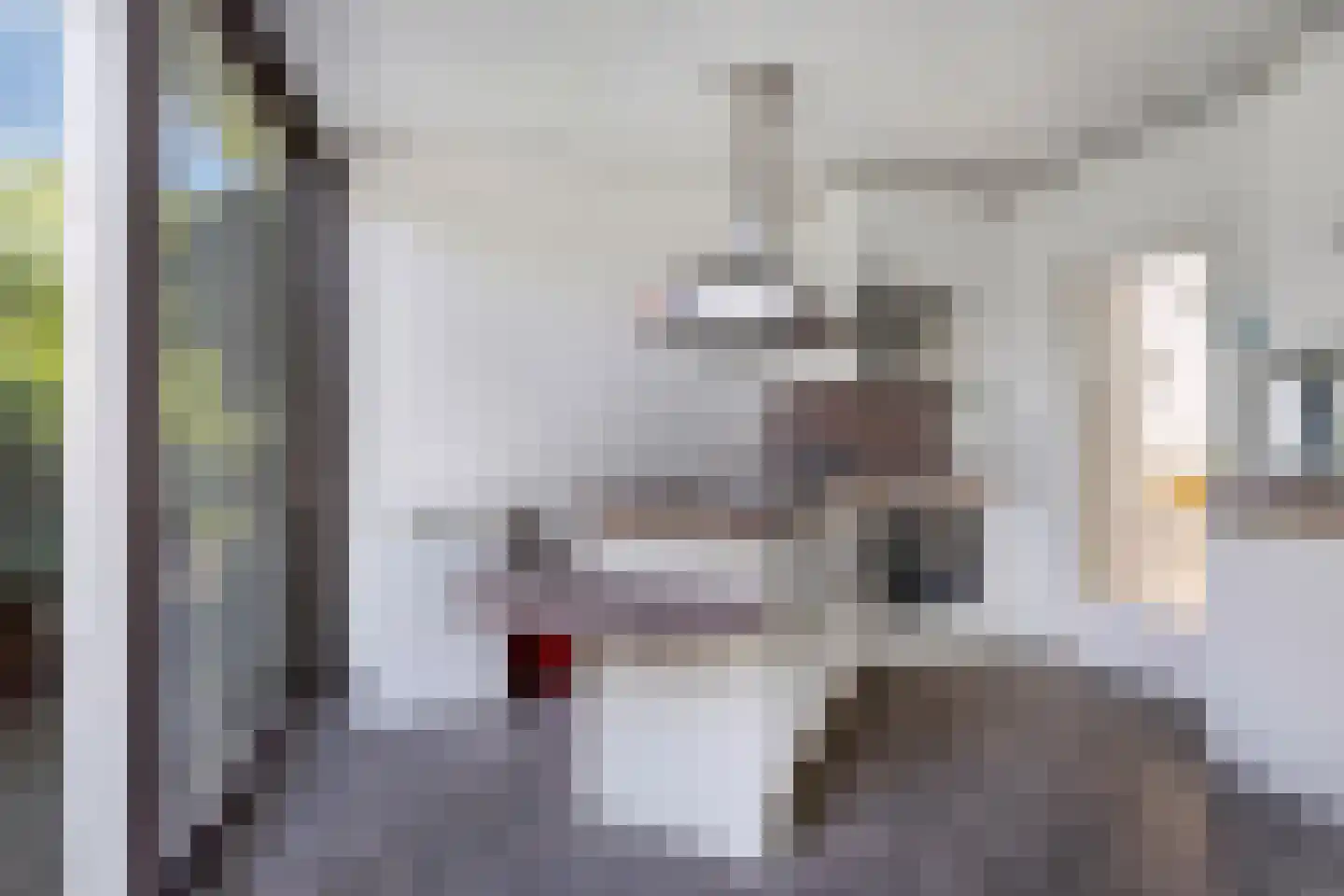 Wilde Wingerdlaan 13 Gouda thumbnail 5