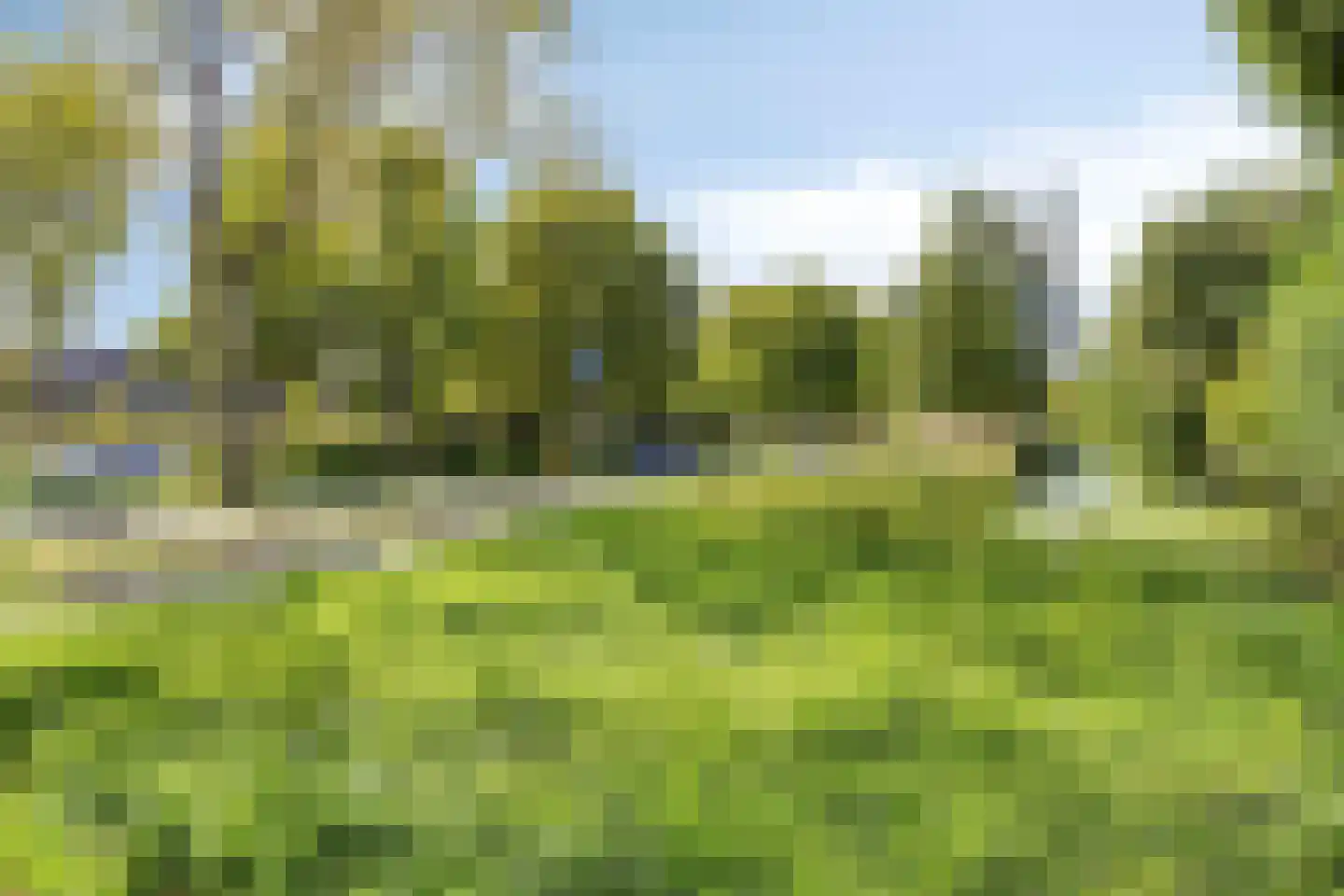 Wilde Wingerdlaan 13 Gouda thumbnail 55