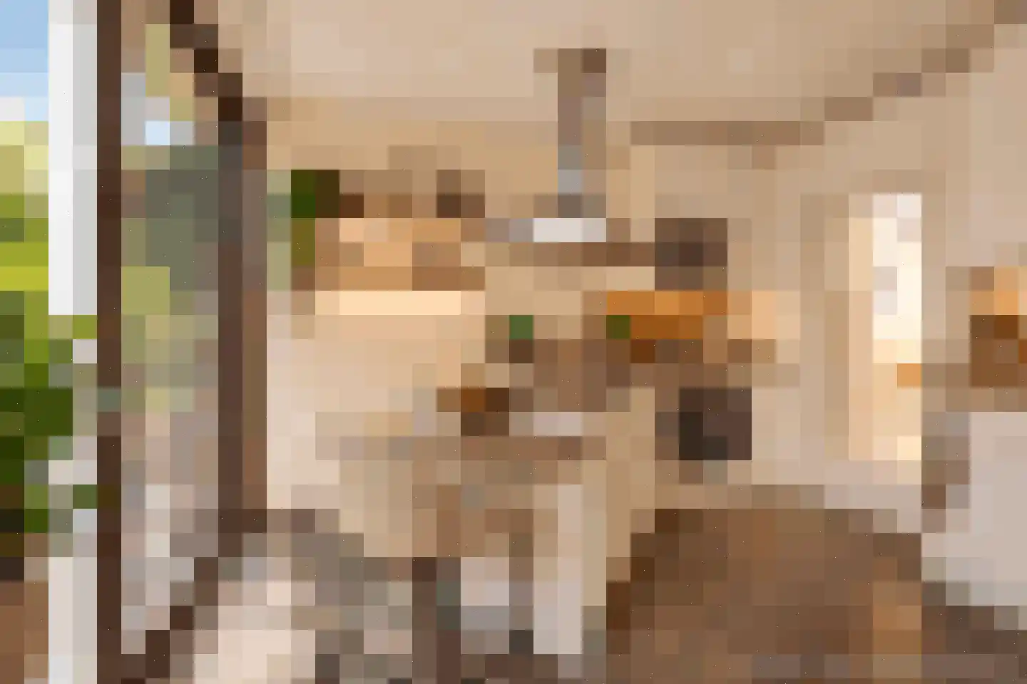 Wilde Wingerdlaan 13 Gouda thumbnail 6